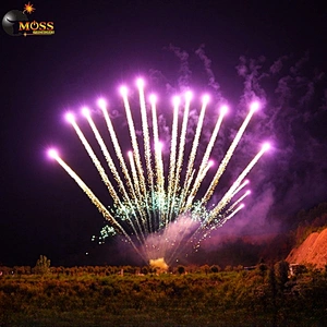 1.2 Inch 13 Shots Mines Firework Firecrackers Single Row Fireworks New Year Sky Shot Pyrotechnics Fireworks