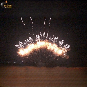 1.2 Inch 13 Shots Mines Fireworks Wholesale Fireworks Firecracker Display Fireworks Pyrotechnics