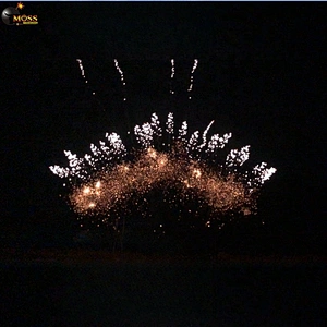 1.2 Inch 13 Shots Mines Fireworks Wholesale Fireworks Firecracker Display Fireworks Pyrotechnics