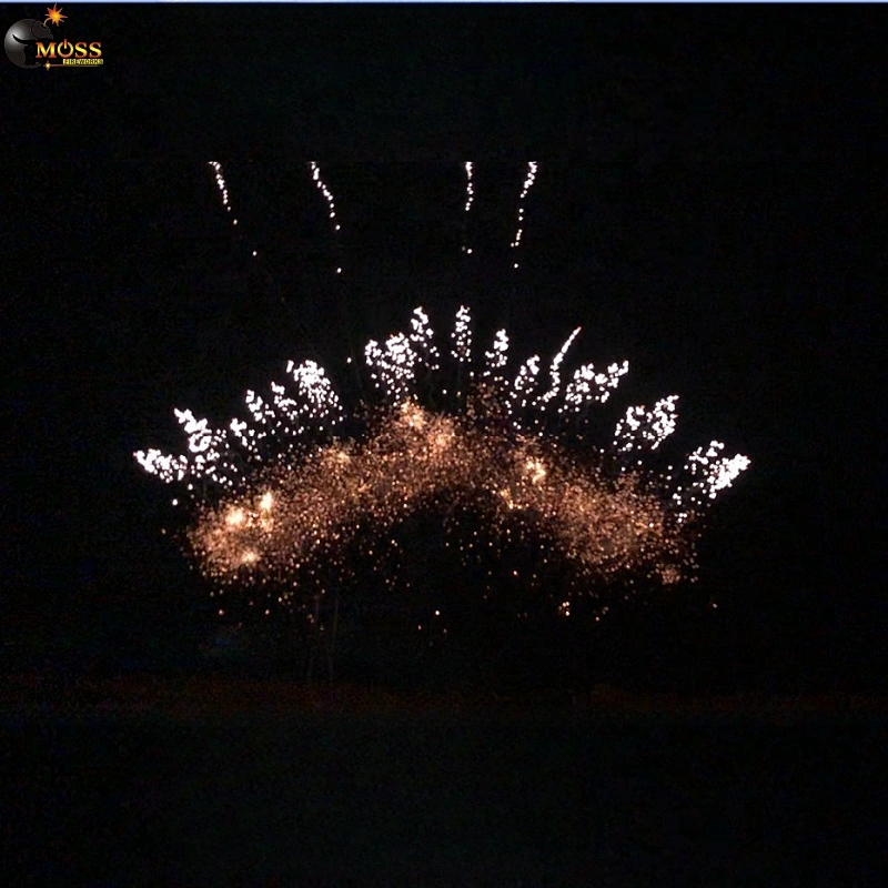 1.2 Inch 13 Shots Mines Fireworks Wholesale Fireworks Firecracker Display Fireworks Pyrotechnics