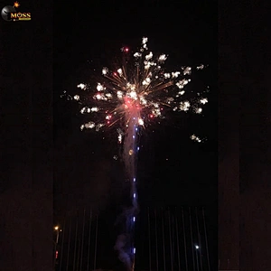 100 Shots Salute Cake Fireworks Sky Shot Firecrackers Display Pyro Fireworks