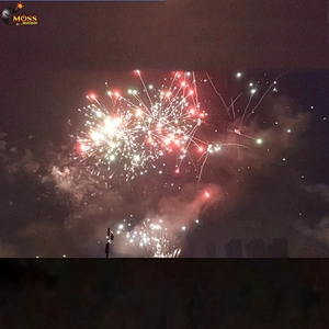 100 Shots Fireworks Cake Firework Sky Shot New Year Celebration Fire Crackers Pyrotechnics