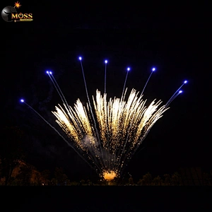 1.2 Inch 13 Shots Fireworks Mines Wholesale Fireworks Firecracker Display Fireworks Pyrotechnics