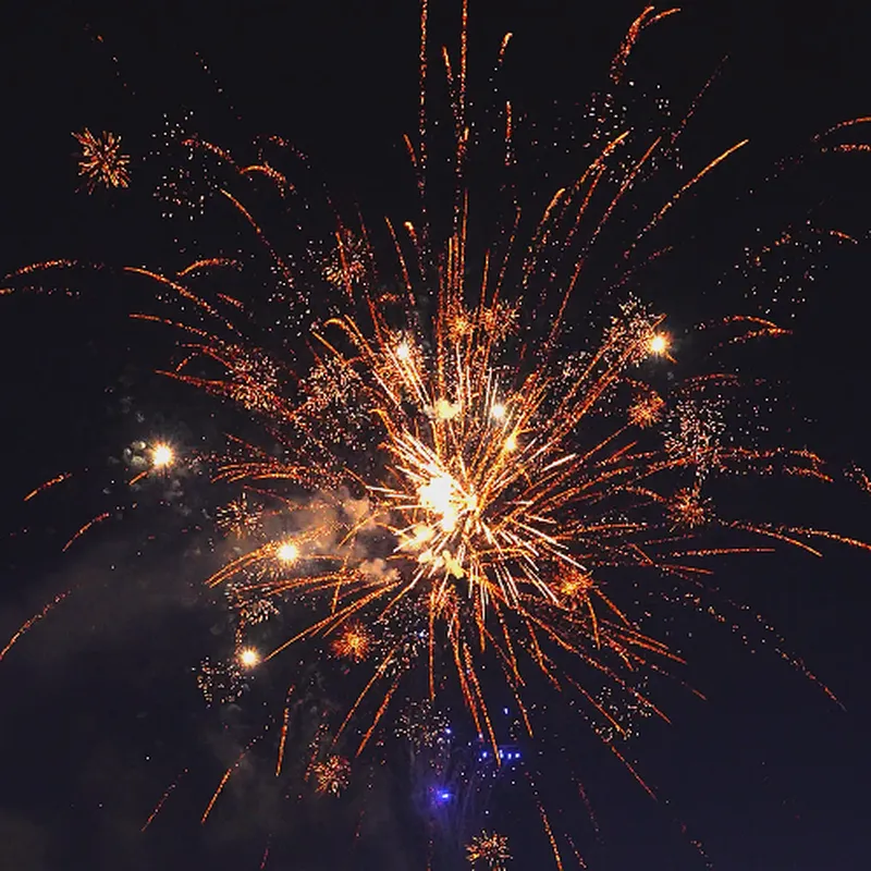 1.1 Inch 100 Shots Night Show (purple Shining Golden Willow) Fire Crackers Fireworks Pyrotechnics Cake Fireworks
