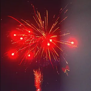 Wholesale Display 1.1 Inch 100 Shots Nightfall (Red and Golden Willow) Cake Fireworks  for New Year Wedding Festival