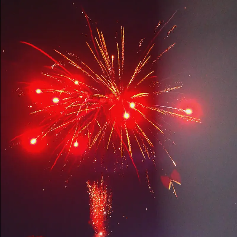 Wholesale Display 1.1 Inch 100 Shots Nightfall (Red and Golden Willow) Cake Fireworks  for New Year Wedding Festival