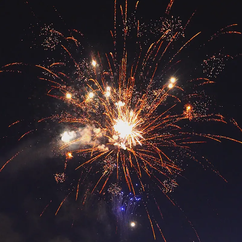 1.1 Inch 100 Shots Night Show (purple Shining Golden Willow) Fire Crackers Fireworks Pyrotechnics Cake Fireworks