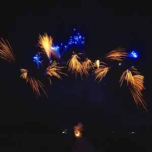 1.2 Inch 108 Shots Blue Sky Blue Cake Firecrackers Display Fireworks