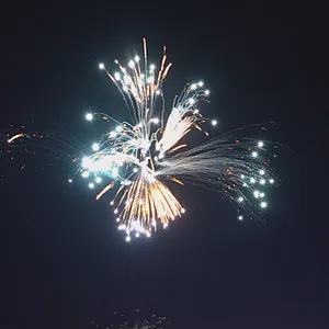 1.1 Inch 100 Shots of Night Charm (Silver Flash Golden Willow)  Cake Fireworks Display Cake Fireworks Firecrackers