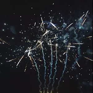 Wholesale New Year Celebration 1.2 Inch 200 Shots Xin Brand Silver Ball Cake Fireworks