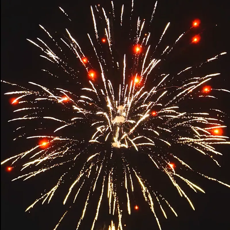 1.2 Inch 100 Shots Taurus Fan Shape  Cake Fireworks Firecrackers