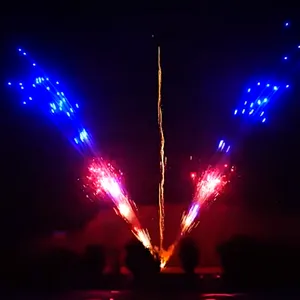 1.2 Inch 120 Shots Sunflower Cake Fireworks
