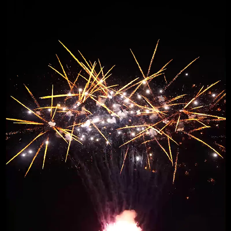 1.2 Inch 100 Shots of Golden Yellow Cake Fireworks