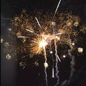 Wholesale New Year Celebration 1.2 Inch 200 Shots Xin Brand Silver Ball Cake Fireworks
