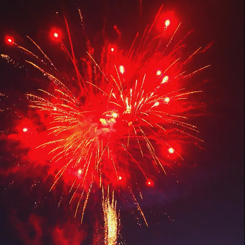 Wholesale Display 1.1 Inch 100 Shots Nightfall (Red and Golden Willow) Cake Fireworks  for New Year Wedding Festival