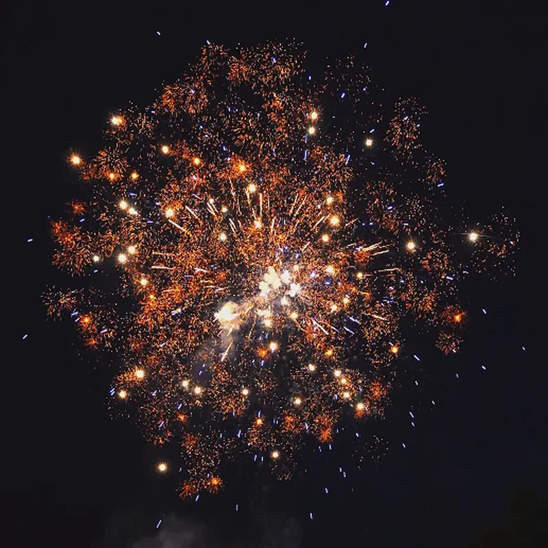 1.1 Inch 100 Shots Night Color (Green Reflecting Golden Willow) Cake Fireworks