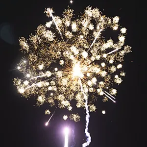 1.2 Inch 80 Shots Xin Brand Silver Ball Cake Fireworks Firecrackers