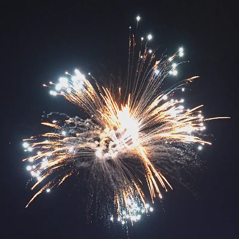1.1 Inch 100 Shots Night Show (purple Shining Golden Willow) Fire Crackers Fireworks Pyrotechnics Cake Fireworks