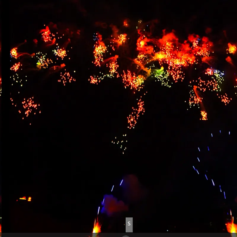 1.2 Inch 99 Shots Priceless Flower Cake Fireworks