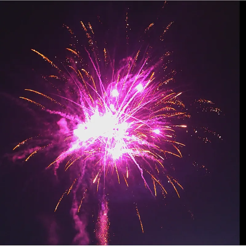 Wholesale Display 1.1 Inch 100 Shots Nightfall (Red and Golden Willow) Cake Fireworks  for New Year Wedding Festival