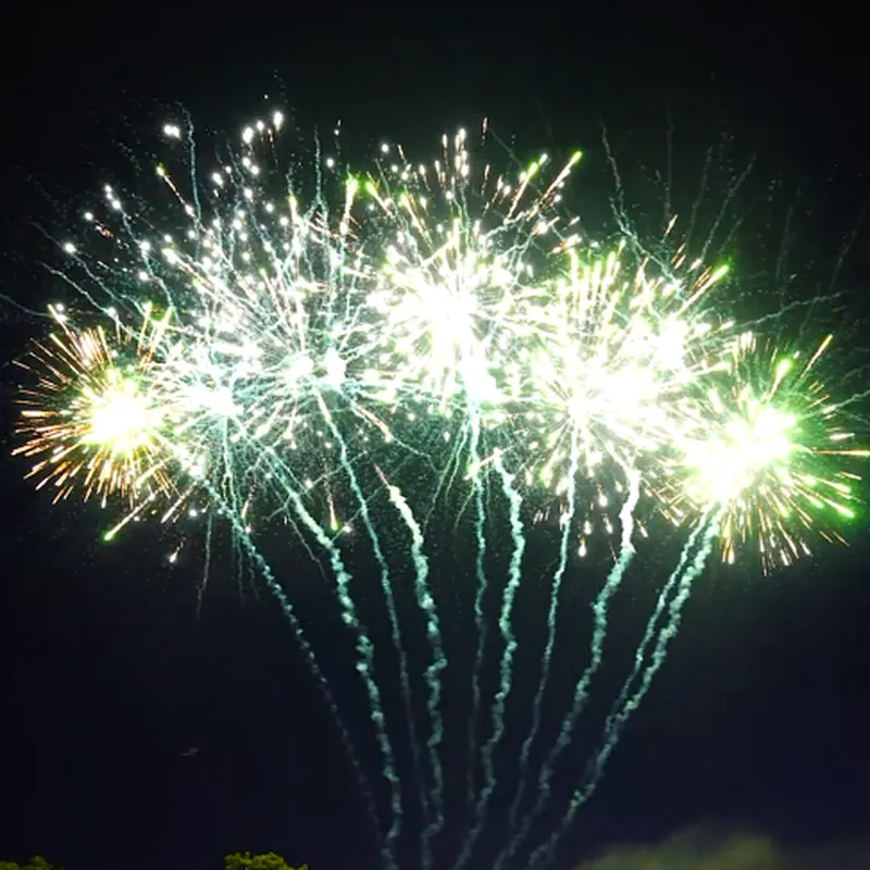 1.2 Inch 50 Shots Xin Brand Flame Dance Cake Fireworks