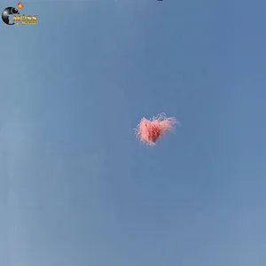 Professional Fireworks 6 Inch Display Waterfall Daytime Fireworks Color Smoke Pyro Fireworks Pyrotechnics