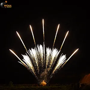 1.2 Inch 13 Shots Single Row Fireworks Wholesale New Year Fireworks Firecrackers Pyrotechnics