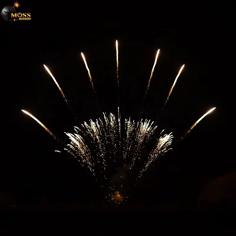 1.2 Inch 13 Shots Single Row Fireworks Wholesale New Year Fireworks Firecrackers Pyrotechnics