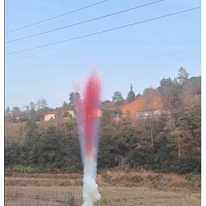 Wholesale Pink Smoke Fireworks 2