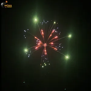 Wholesale Display Shell Wedding Firecrackers New Year Pyrotechnics 5 Inch Fireworks Shells Fireworks