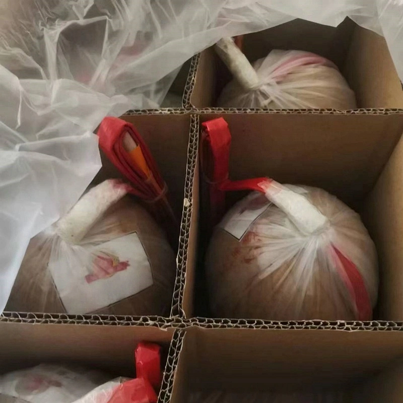 Professional Fireworks Display Shell 6 Inch Fireworks Shells Firecrackers Christmas Fireworks