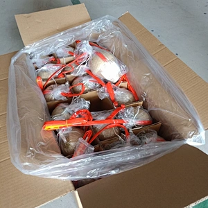 Fireworks 6 Inch Display Shells for Sale Crackers Fireworks New Year Wedding Firecrackers