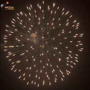 Professional Fireworks Display Shell 6 Inch Salute Firework Shells Celebration Fire Crackers