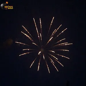 Firework Shell 4 Inch Display Shell Fireworks Firecrackers New Year Chinese Firecrackers