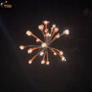 6 Inch Fireworks Shells Display Shell Fireworks Firecrackers New Year Pyrotechnics