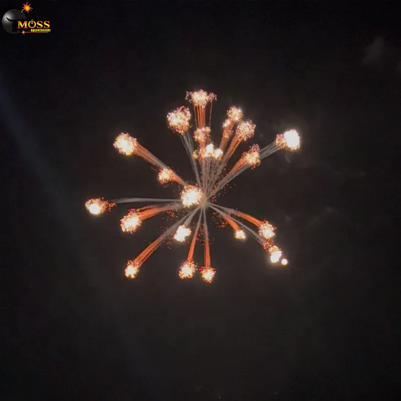 6 Inch Fireworks Shells Display Shell Fireworks Firecrackers New Year Pyrotechnics