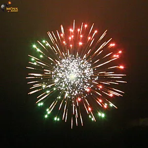 Wholesale Chinese Fireworks Salute Shells Crackers 4 Inch Display Shells Fireworks