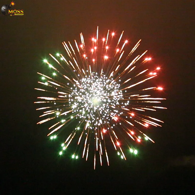 Wholesale Chinese Fireworks Salute Shells Crackers 4 Inch Display Shells Fireworks