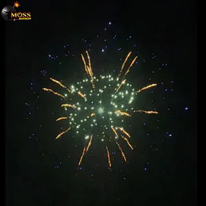 Wholesale Fireworks Firecracker 5 Inch Display Shell Professional Salute Fireworks