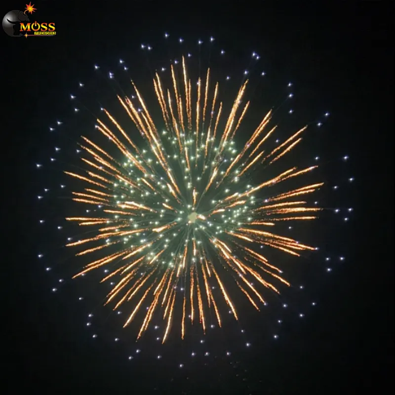 Professional Fireworks Display Shell 6 Inch Fireworks Shells Firecrackers Christmas Fireworks