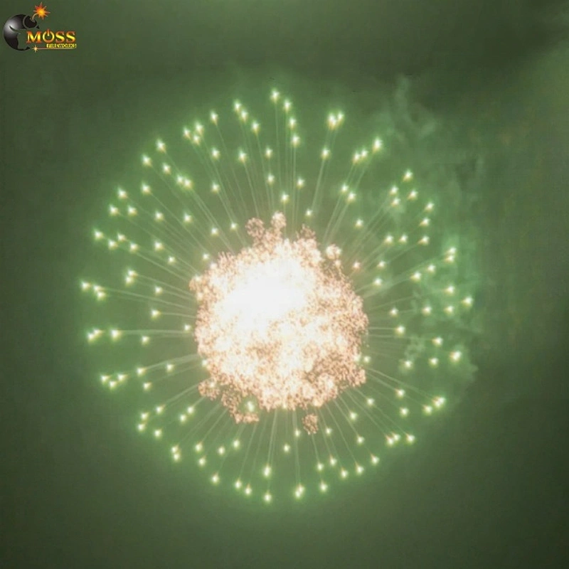 4 Inch Display Shells Fireworks pyrotechnics Salute Firework Shells ...