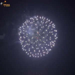 Professional Fireworks Display Shell 6 Inch Salute Firework Shells Celebration Fire Crackers