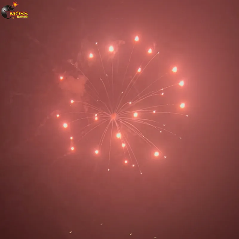Salute Firework Display Shell 5 Inch Fireworks Shells Wedding Fireworks New Year Firecrackers