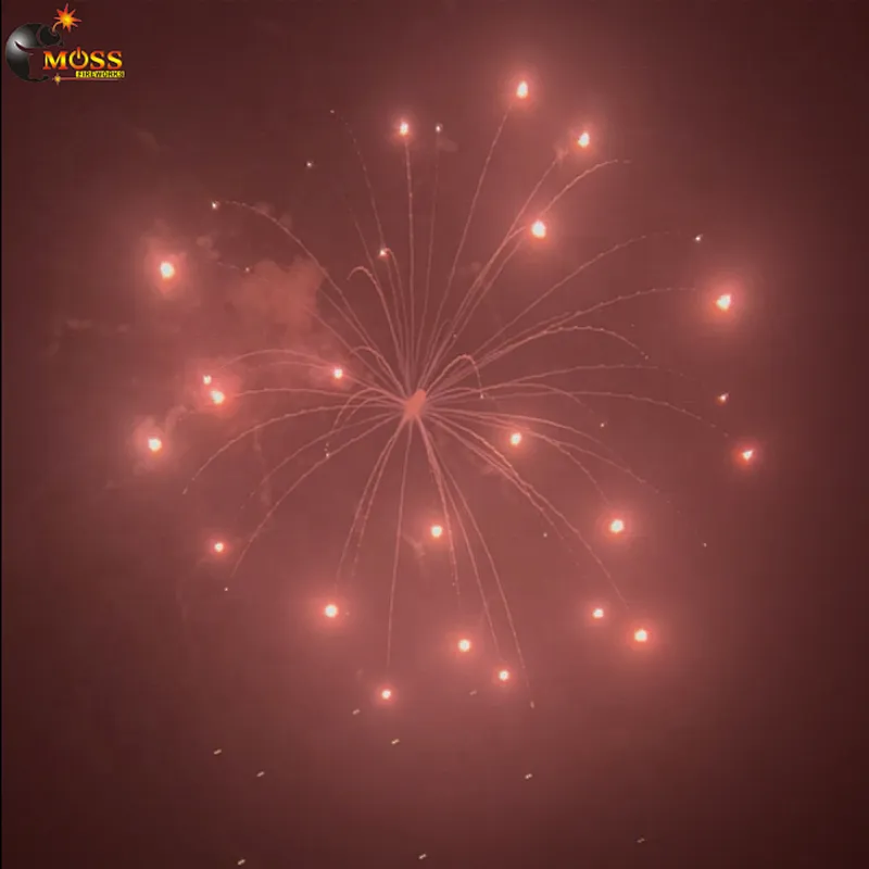 Salute Firework Display Shell 5 Inch Fireworks Shells Wedding Fireworks New Year Firecrackers