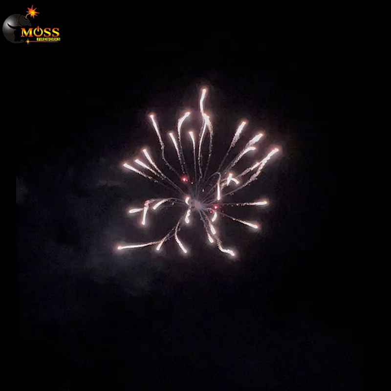 Professional Fireworks Wholesale 3 Inch Display Shell Chinese Fireworks Display Salute Shells Pyrotechnics