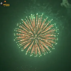 Wholesale Display Shell Pyrotechnics New Year Wedding Firecrackers 4 Inch Fireworks Shells Fireworks