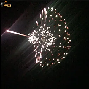 Crackers Fireworks Display Shell 5 Inch Pyrotechnics Fireworks Firecrackers New Year Salute Firework