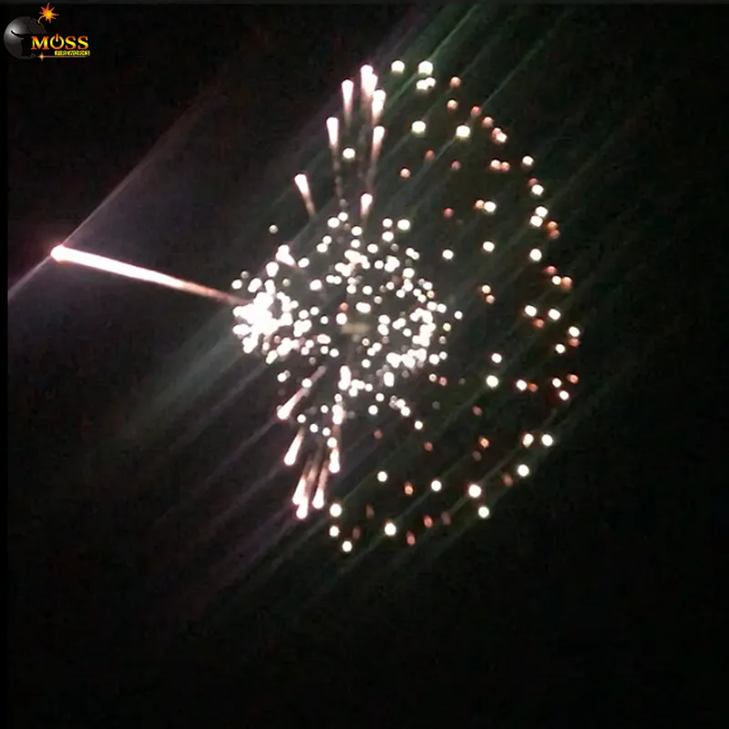 Crackers Fireworks Display Shell 5 Inch Pyrotechnics Fireworks Firecrackers New Year Salute Firework
