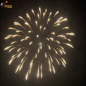 Sky Shot New Year Celebration Fire Crackers 4 Inch Shell Fireworks Salute Firework Display Shell Fireworks