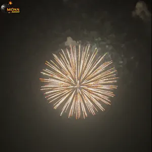 Wholesale Display Shell Pyrotechnics New Year Wedding Firecrackers 4 Inch Fireworks Shells Fireworks